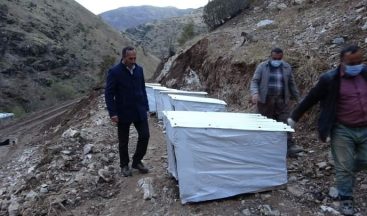 Şemdinli belediyesi sokak hayvanları için önemli bir adım attı