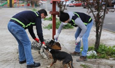 Serdivan Belediyesi’nden yeni yıl tedbirleri