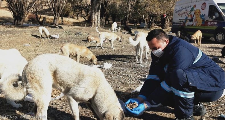 Sincan’da korona virüs tedbirleri