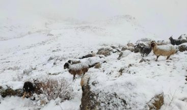 Şırnak’ta dağlar beyaza büründü