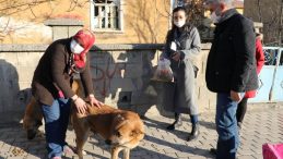 Sokak hayvanları için 40 kişilik ekip seferber oldu