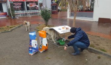 Sokak hayvanları için beslenme üniteleri oluşturuldu