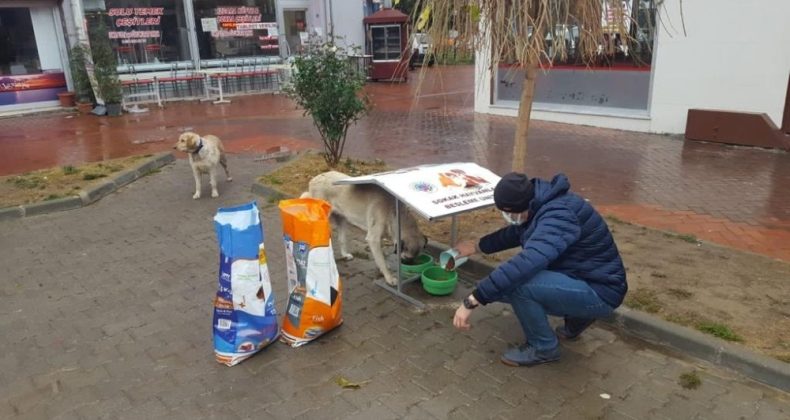 Sokak hayvanları için beslenme üniteleri oluşturuldu