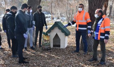 Tatvan Belediyesinden sokak hayvanlarına kulübe