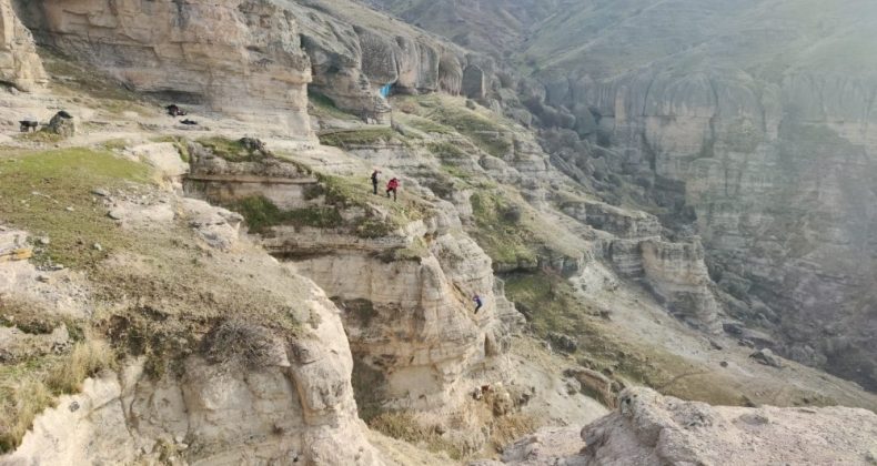 Tunceli’de kayalıklarda mahsur kalan keçileri AFAD ekipleri kurtardı