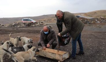 Yahşihan’da sokak hayvanları unutulmadı