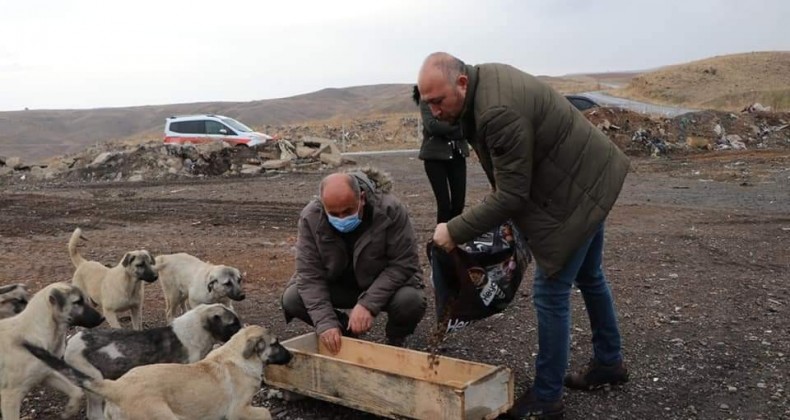 Yahşihan’da sokak hayvanları unutulmadı