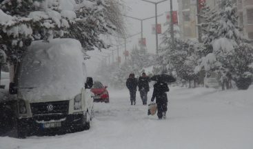 Ahlat’ta kar ve tipi esareti