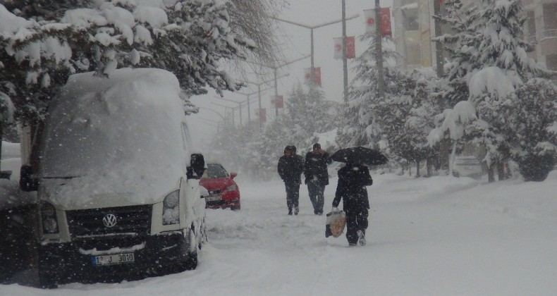 Ahlat’ta kar ve tipi esareti