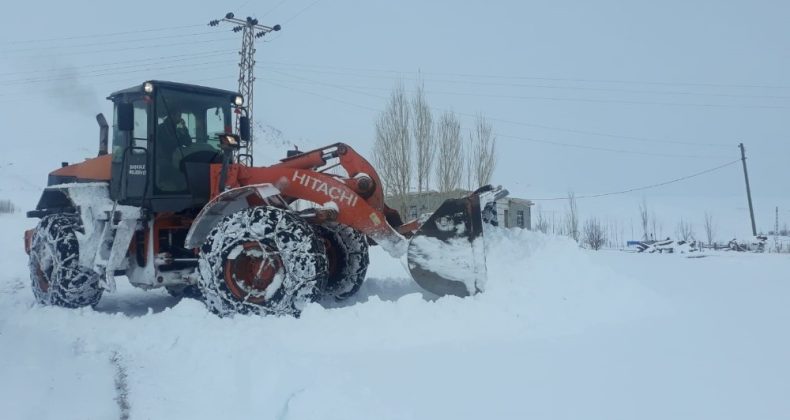 Başkale Belediyesi kamyonlarla kar taşıyor