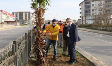 Başkan Kılıç: “İnsanlar Bafra’mızın dış görünümü ile ilgili güzel intibalara sahip olsun istiyoruz”