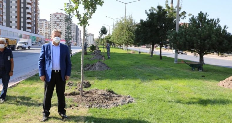 Başkan Mustafa Palancıoğlu: “Daha yeşil bir Melikgazi için fidan değil ağaç diktik”