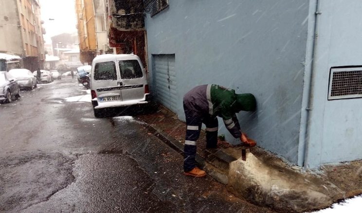 Beyoğlu’nda kar yağısından etkilenen sokak hayvanları unutulmadı