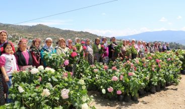 Büyükşehir, kadınları üretime yöneltiyor