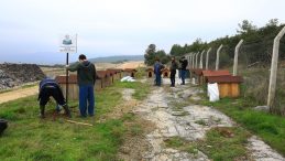 Muğla’dan sokak hayvanlarına sıcak yuva