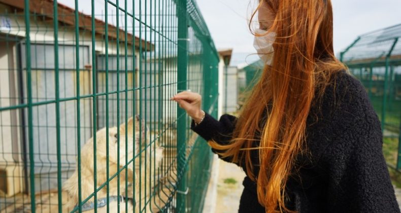 Can dost ’boncuk’ için seferberlik