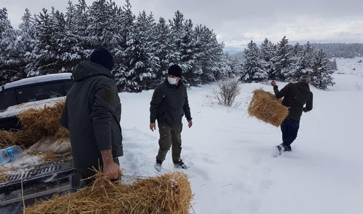 Çankırı’da yaban hayvanları kara kışta unutulmadı