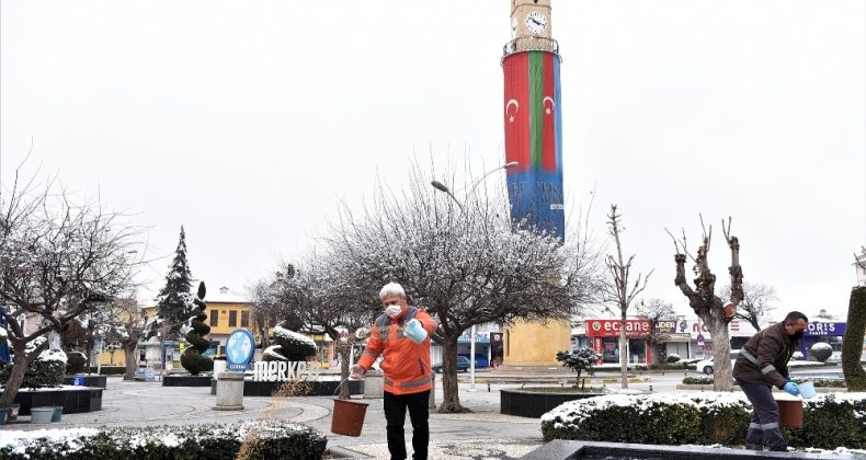 Çorum belediyesi sokak hayvanlarını unutmadı