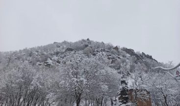 Çukurca Kale Evleri beyaz gelinliğini giydi