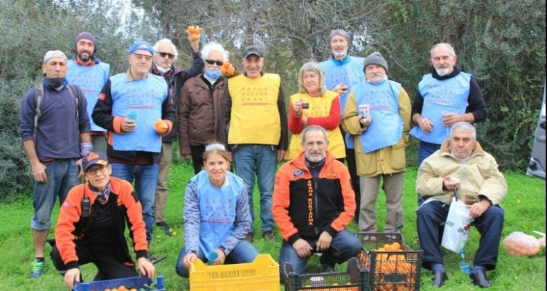 Datça’da 200 kilogram mandalina ihtiyaç sahiplerine dağıtıldı