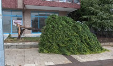 Denizli ve 4 il için fırtına uyarısı