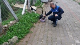 Didim Belediyesi Minik Dostları Unutmadı