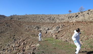 Diyarbakır’da ilk defa hayvanlara kuduz aşısı kırsala bırakıldı