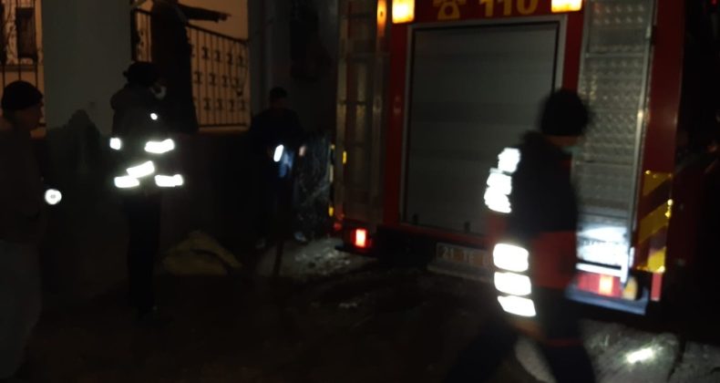 Elektrik direğinde mahsur kalan kediyi itfaiye ekipleri kurtardı