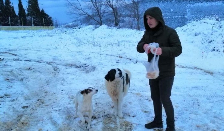 Erdek’te sokak hayvanları unutulmadı