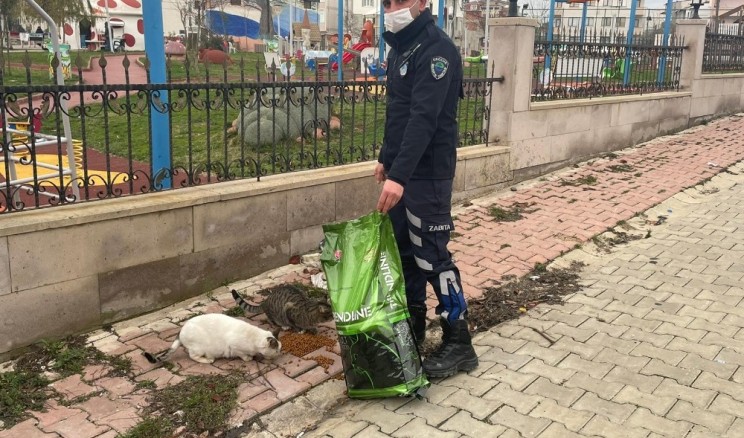 Ergene Belediyesi sokak hayvanlarını yalnız bırakmıyor