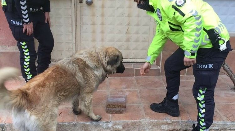 Eşme’de sokak hayvanları beslendi