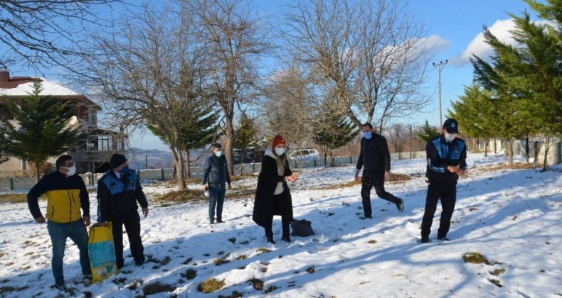 Fatsa Belediyesi doğaya kuşlar için yem, sokak hayvanları için mama bıraktı