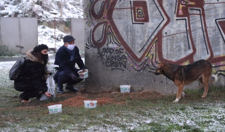 Gaziosmanpaşa’da sokak hayvanları karda sahipsiz kalmadı