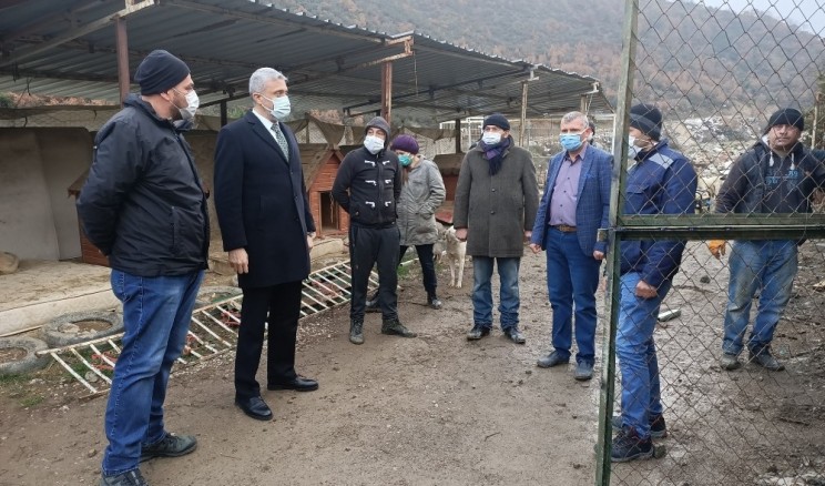 Geçici hayvan barınağına yeni ünite çalışması