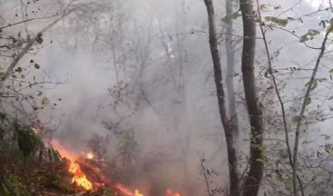 Giresun’da 4 günde 63 kırsal yangın meydana geldi