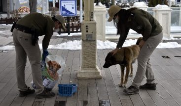 Gümüşhane’de sokak hayvanları kısıtlamada aç kalmayacak