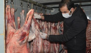 Hakkari’de kasaplar denetlendi