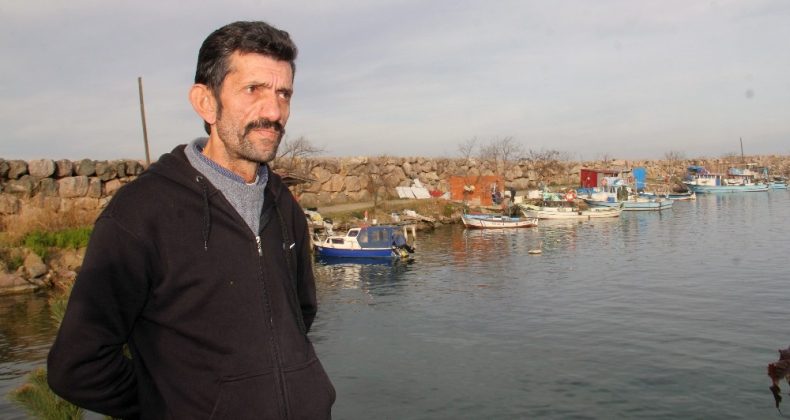 Hamsinin geleceği tehlikede