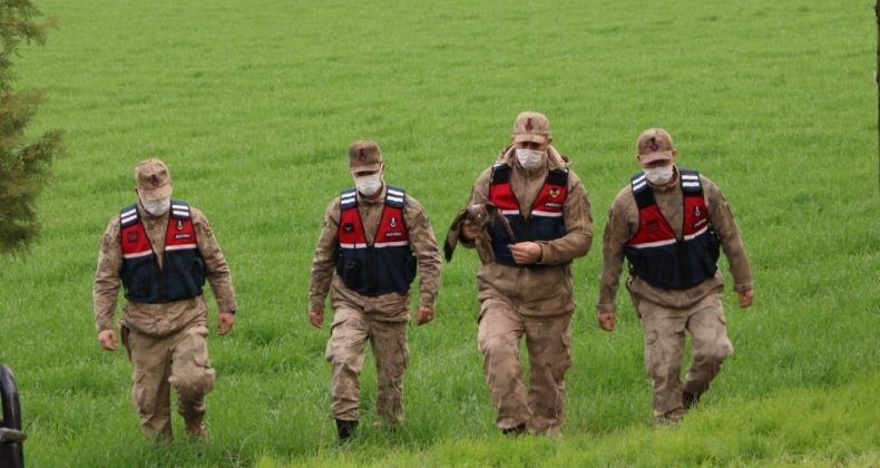 Hatay’da yaralı halde bulunan şahine ilk müdahale jandarmadan