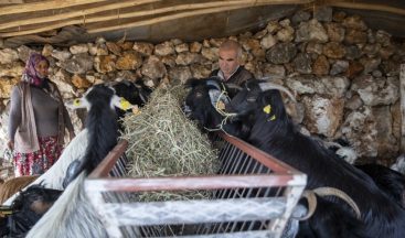 ’Haydi gel köyümüze destek verelim’ projesi, yeni doğumlarla büyüyor