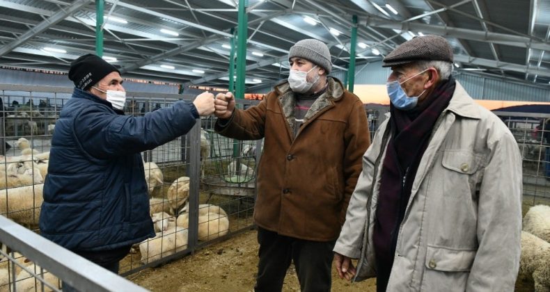 Hayvan pazarında üreticilerin yüzü gülüyor