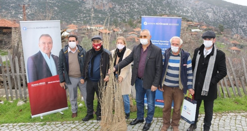 İbradı ipekböcekçiliği ile tanışıyor