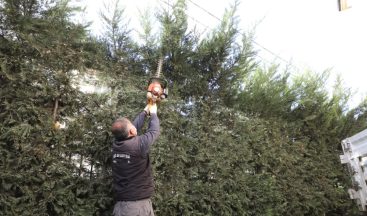İnegöl’de budama çalışmaları