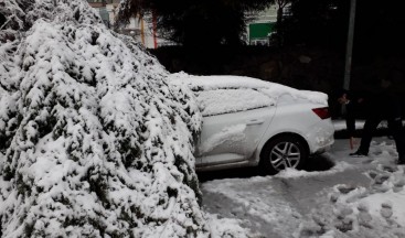 İtfaiye ekipleri çatı ve devrilen ağaçlara müdahale ediyor