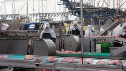 Kanatlı sektörü salgının izlerini silmeye çalışıyor