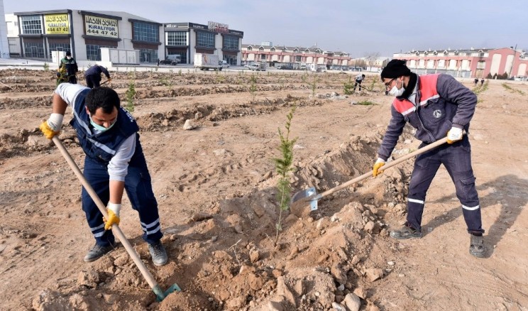 Karatay Belediyesi basın mensupları adına fidan dikti