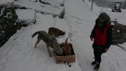 Karda aç kalan sokak hayvanlarını su ve mama bıraktılar