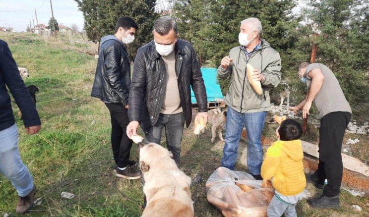 Kısıtlama günlerinde sokak hayvanlarını unutmadılar