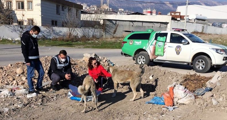 Kısıtlamada sokak hayvanlarına mama