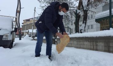 Kısıtlamadan muaf olan esnaf sokaktaki hayvanları unutmadı